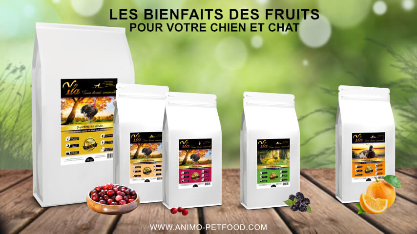 les bienfaits des fruits pour votre chien et chat